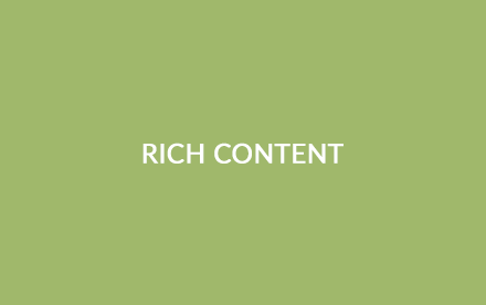 Digital media and rich content